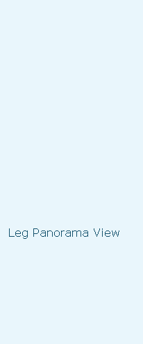 
















  
  Leg Panorama View